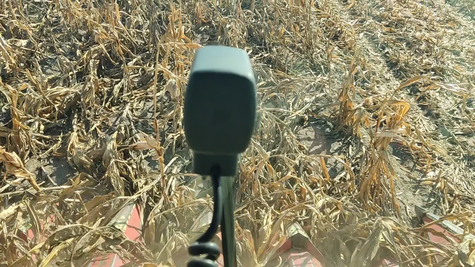 streamable.com