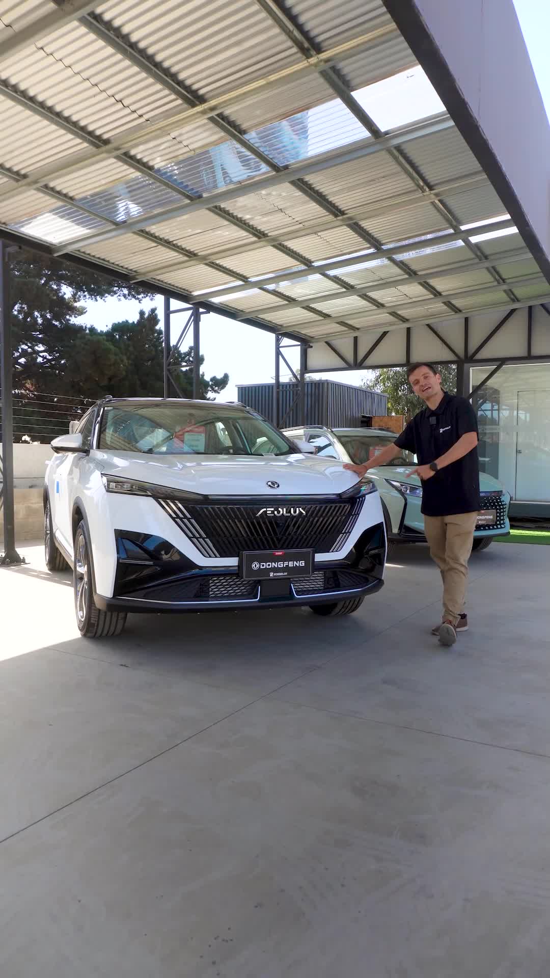 Video Camino internacional 4100