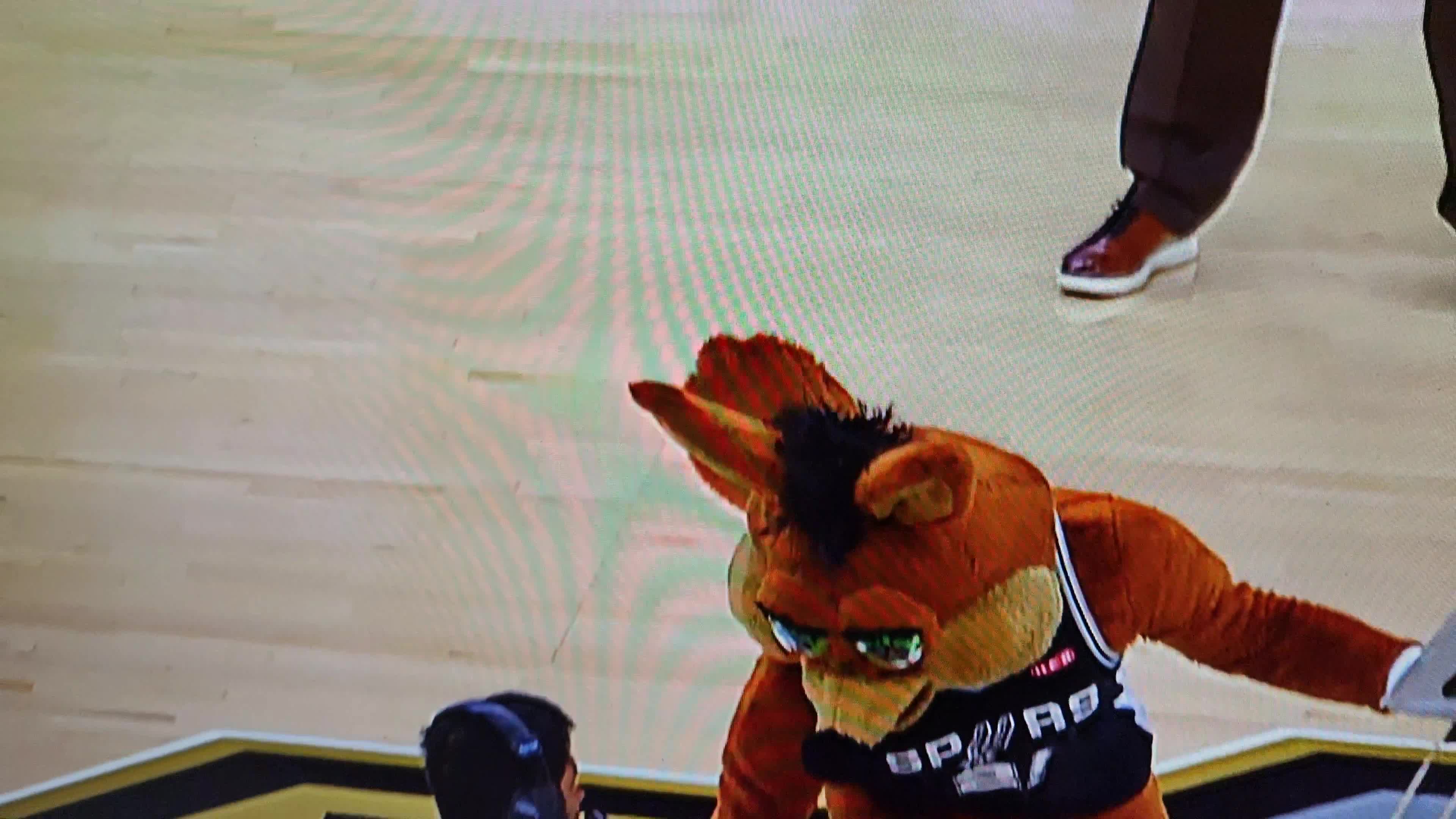 The Spurs Coyote Wins NBA Mascot of the Year