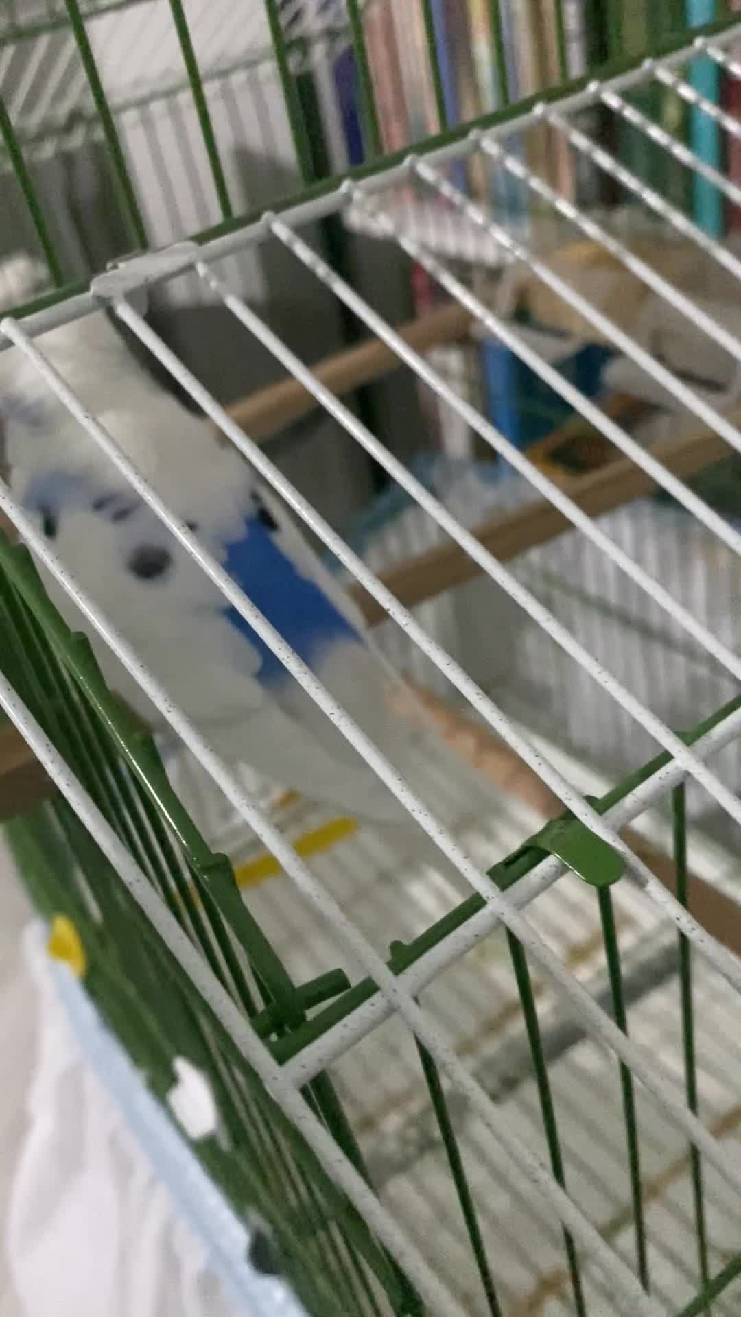 streamable.com