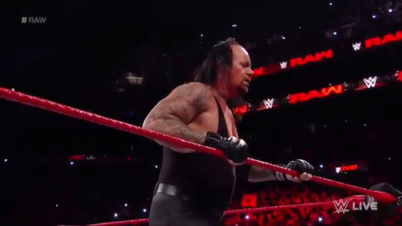 Undertaker Knew