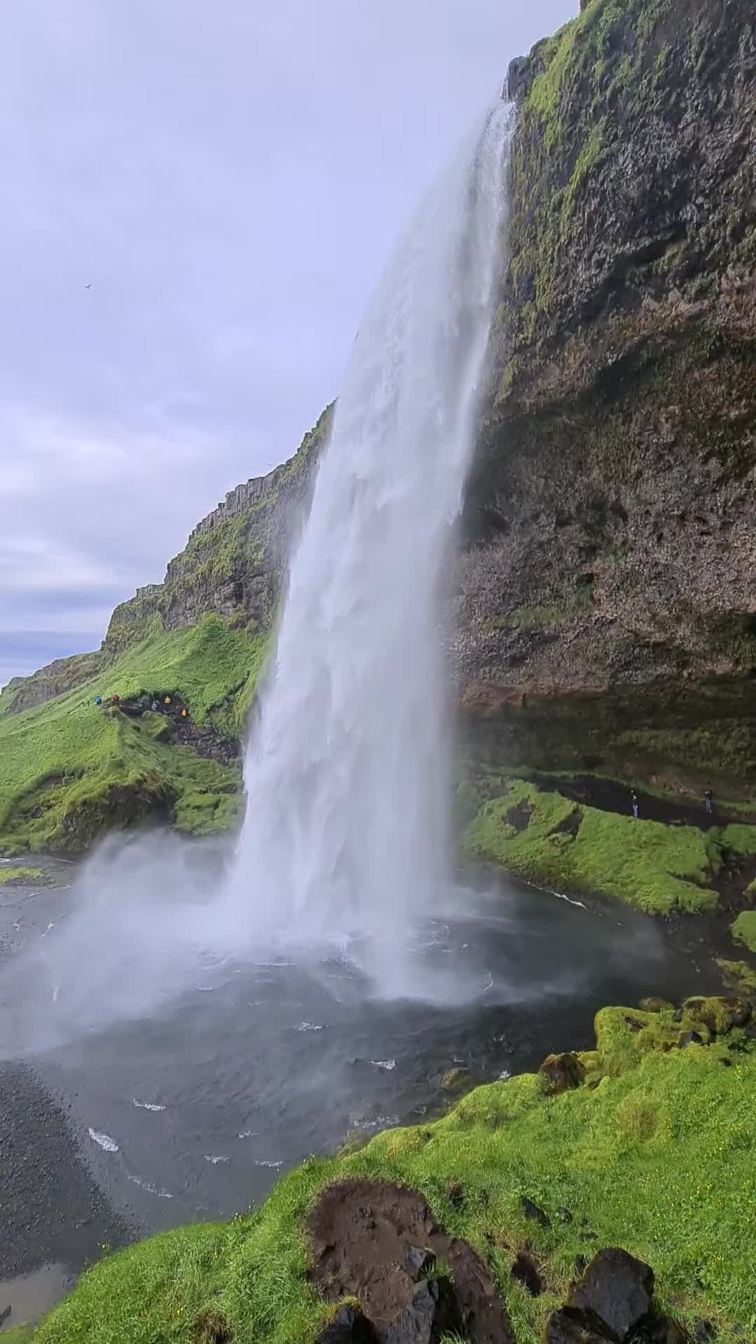 seljalandsfoss2
