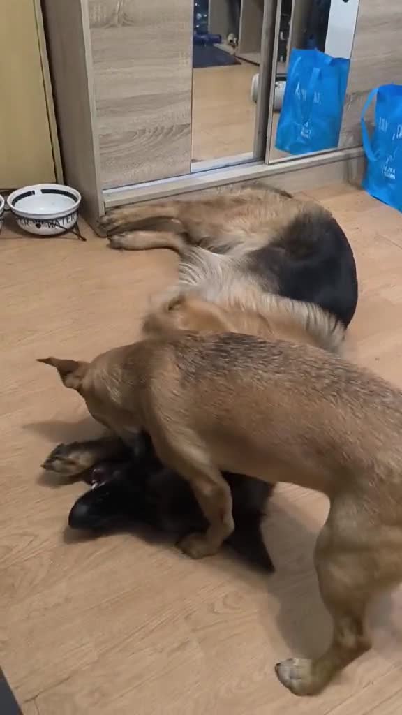 5f5f10a4-90a7-4ee4-8f03-9cac7eb1f78f