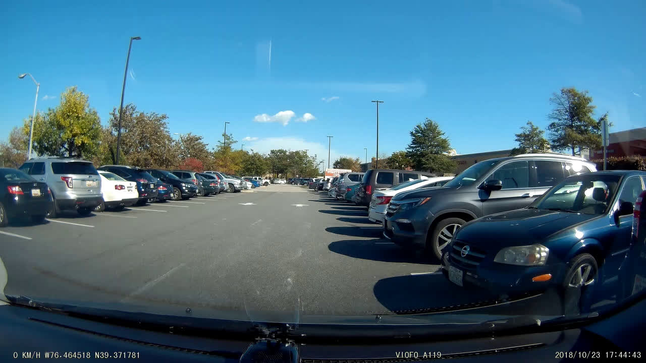 Excessive Use of Horn_Medium