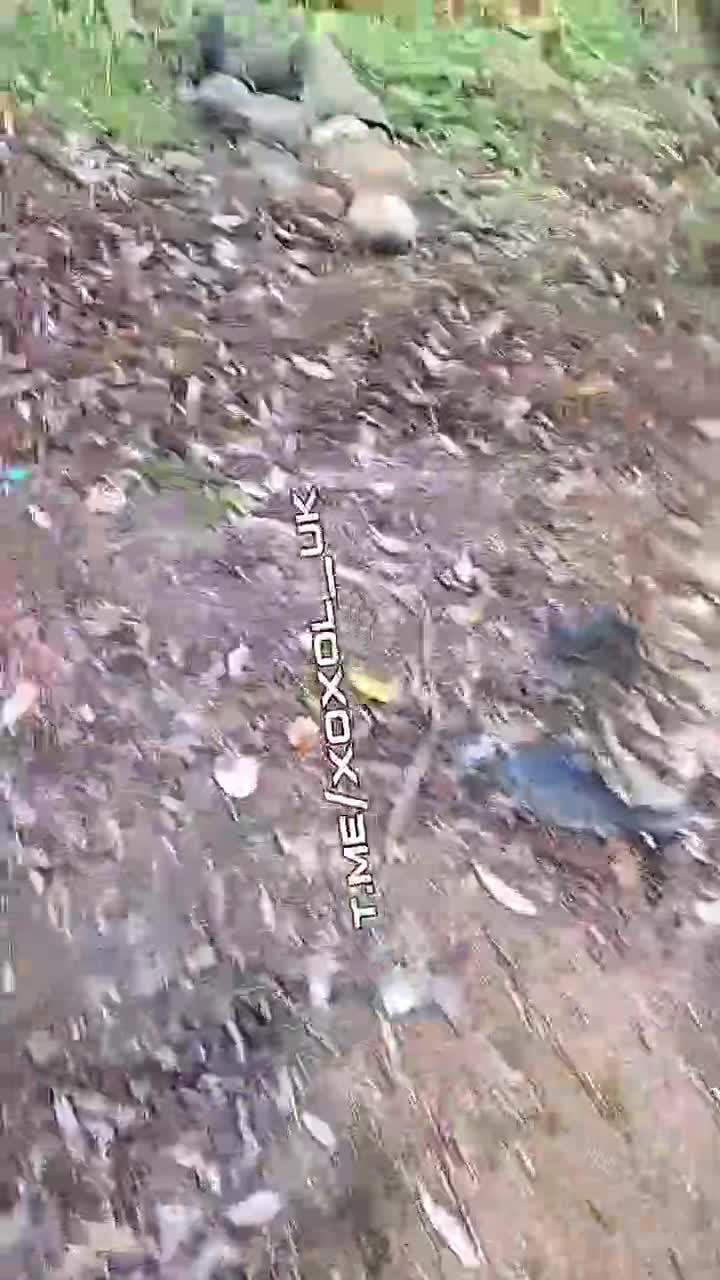streamable.com