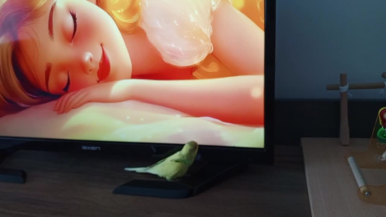 streamable.com