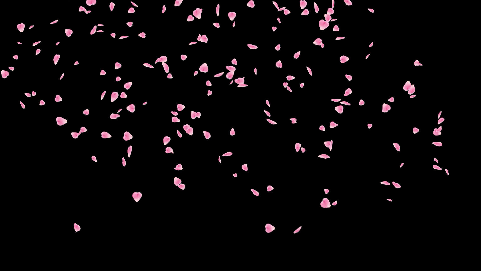 桜の花びらが舞い落ちる無料動画素材 映像制作向け D Elf 桜の花びらが舞い落ちる無料動画素材 映像制作向け D Elf