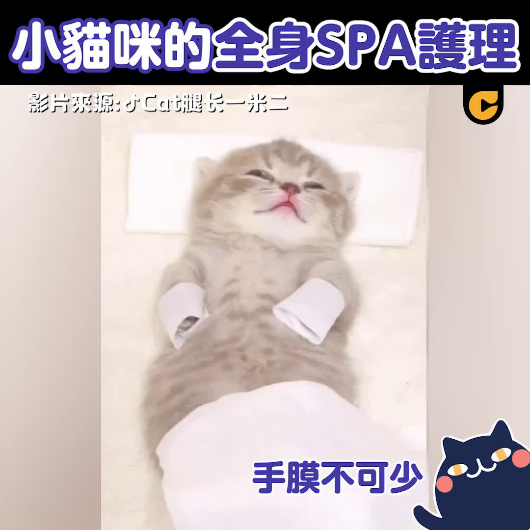 SPA 露毛 無碼  | Streamable