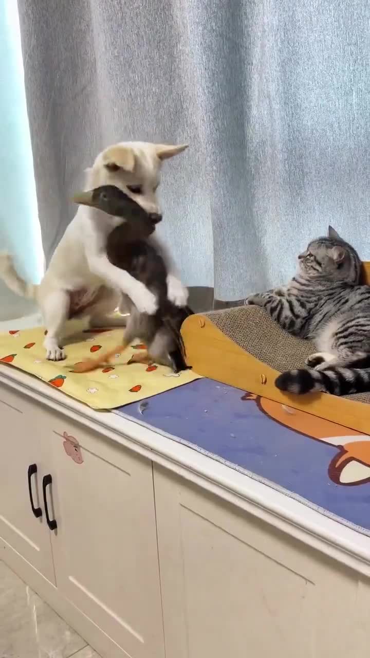 Jack The Watcher - Polska scena polityczna: