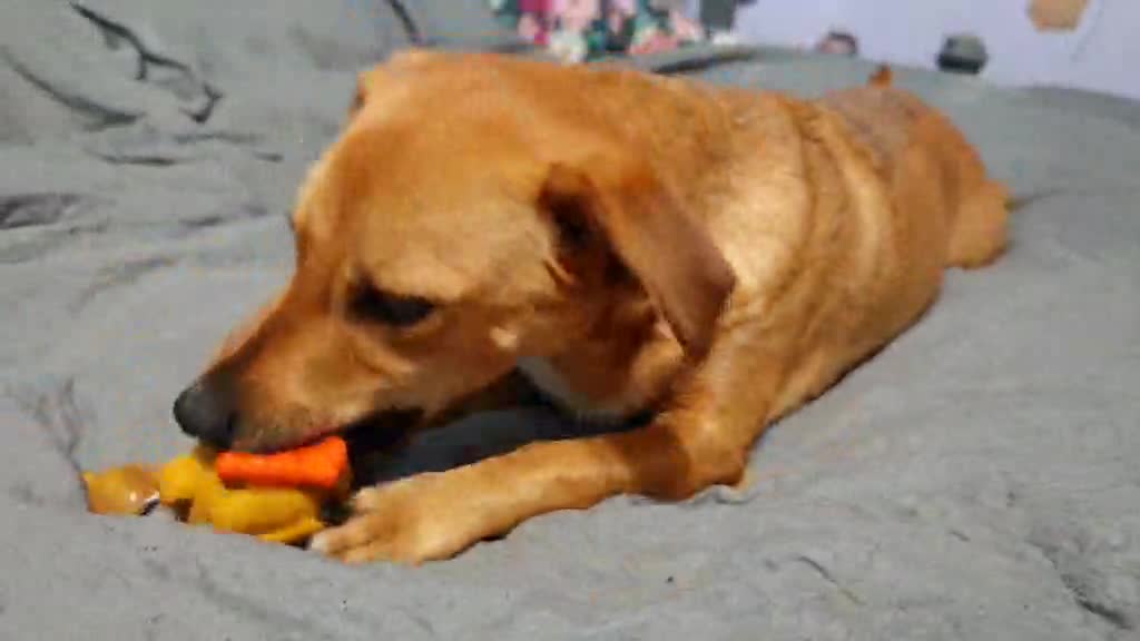 a5d111d2-12b5-457d-829c-d9b92945af21