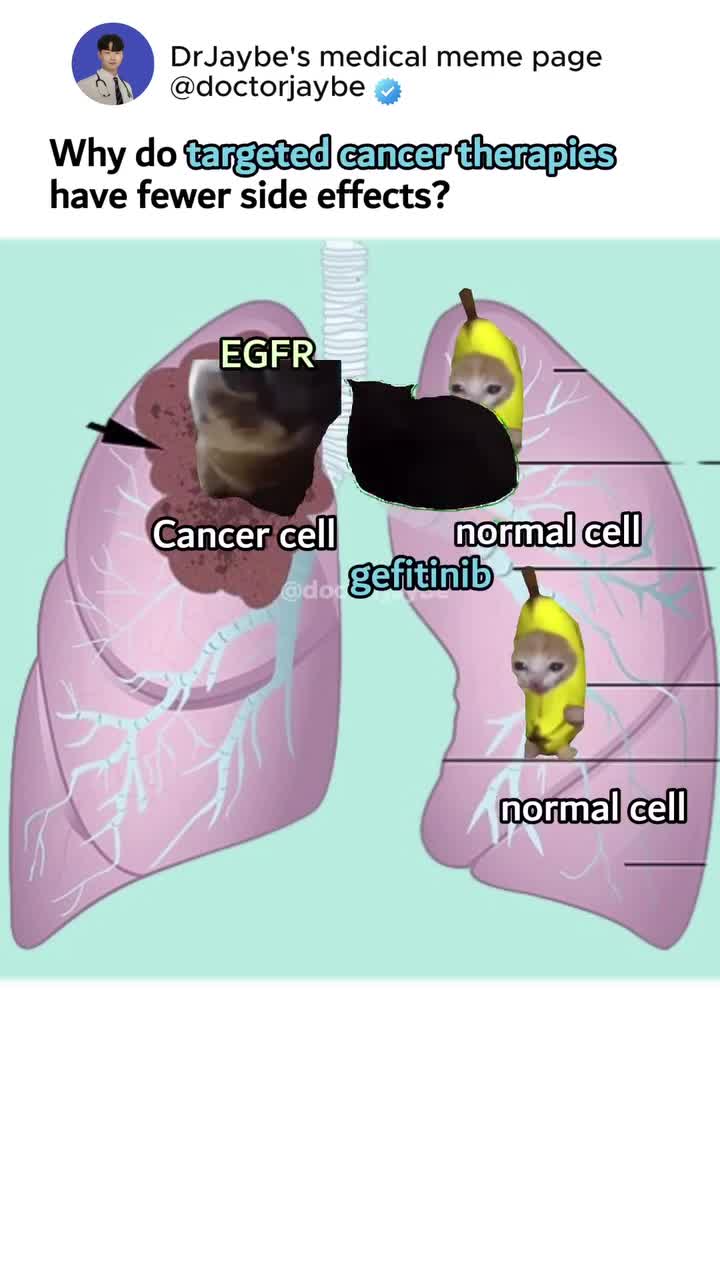 ClipDown.App_1B4DC8A1E923706D6E736C7FA5833AAC_video_dashinit