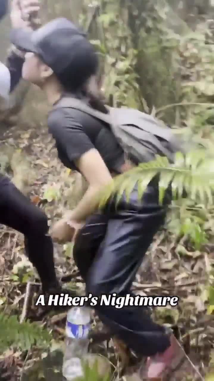 Watch "unnamed" on Streamable.
