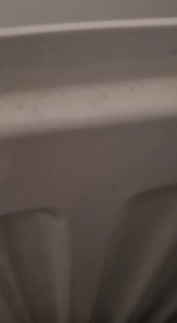 streamable.com