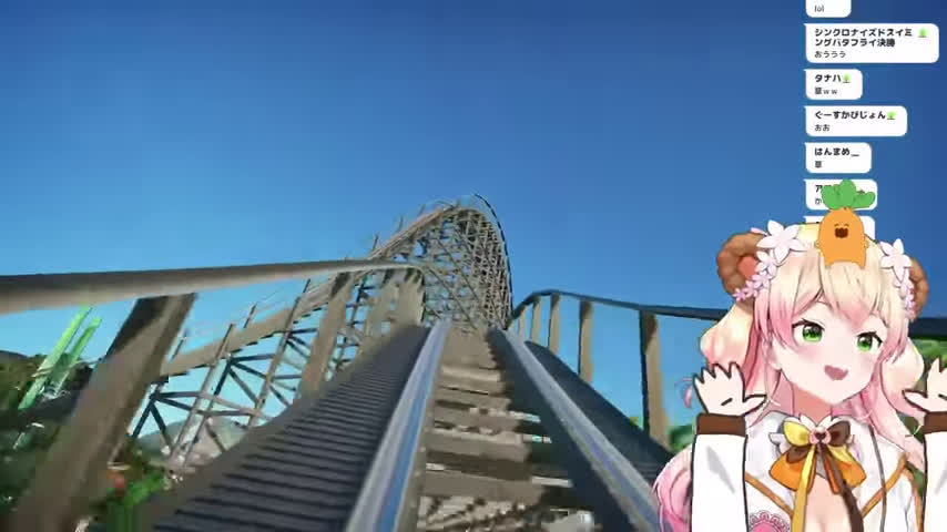 Nenecoaster
