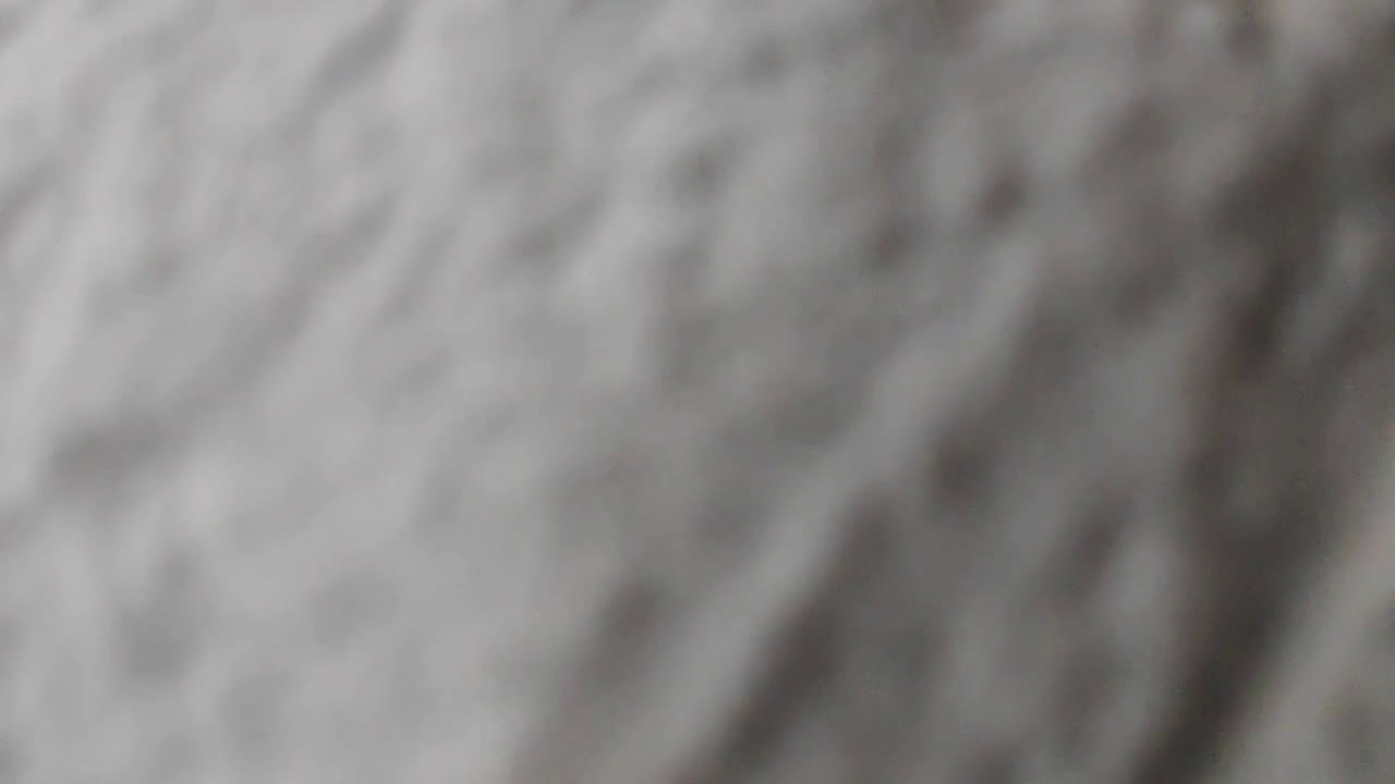 streamable.com