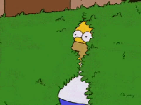 Gif Streamable giphy