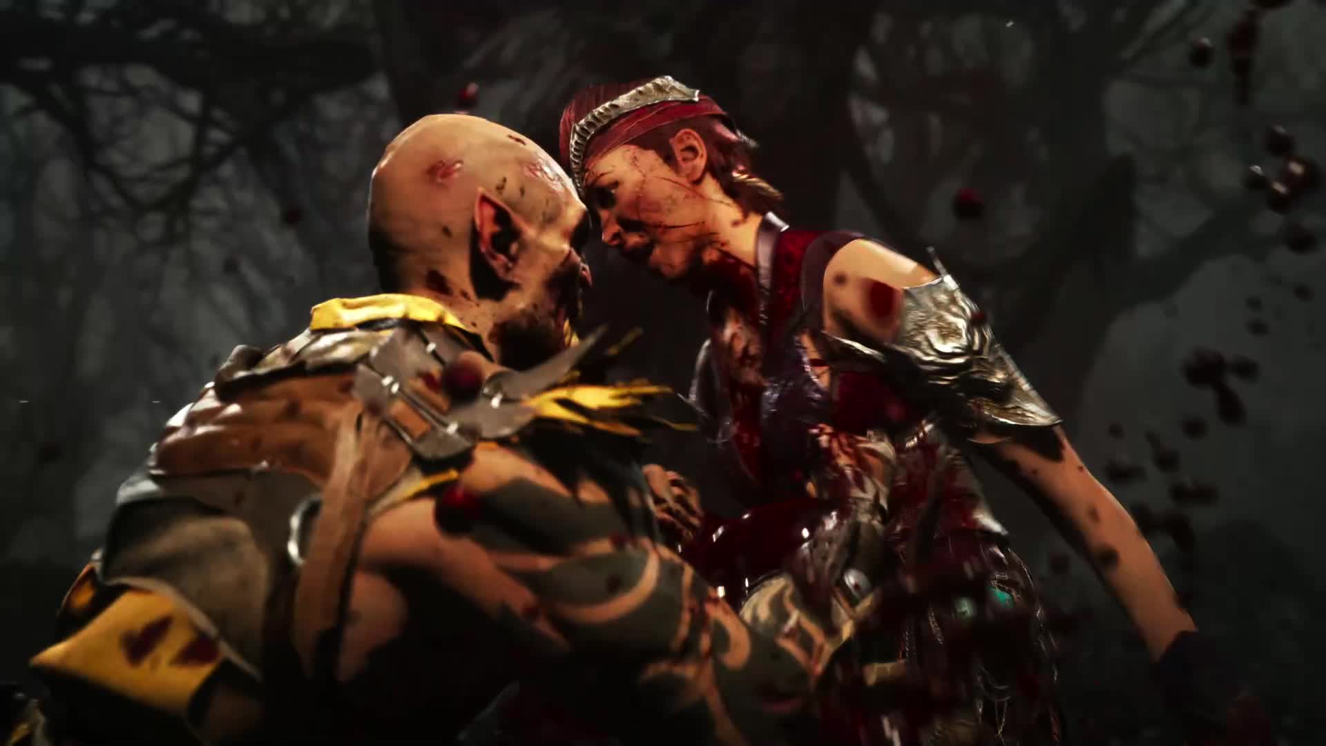 Mortal Kombat X - All Fatalities on Baraka *PC Mod* (1080p 60FPS) 