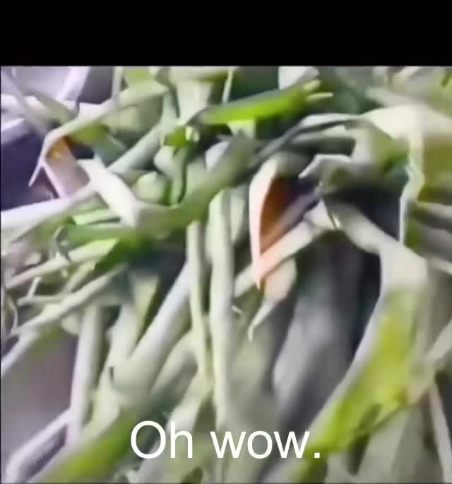 I don't get it. 😉 Do you?