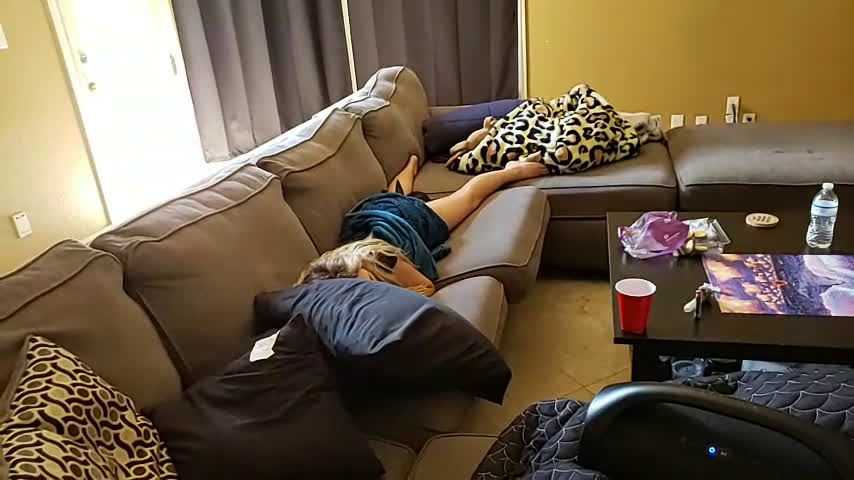 Watch Dog eating FishMoleys ass while shes passed out on ...