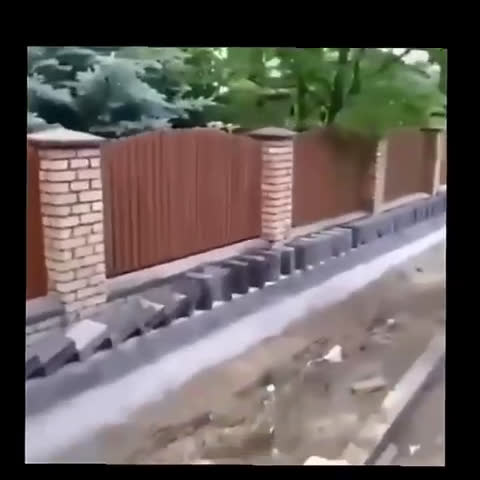 Domino's pizza annual report picture