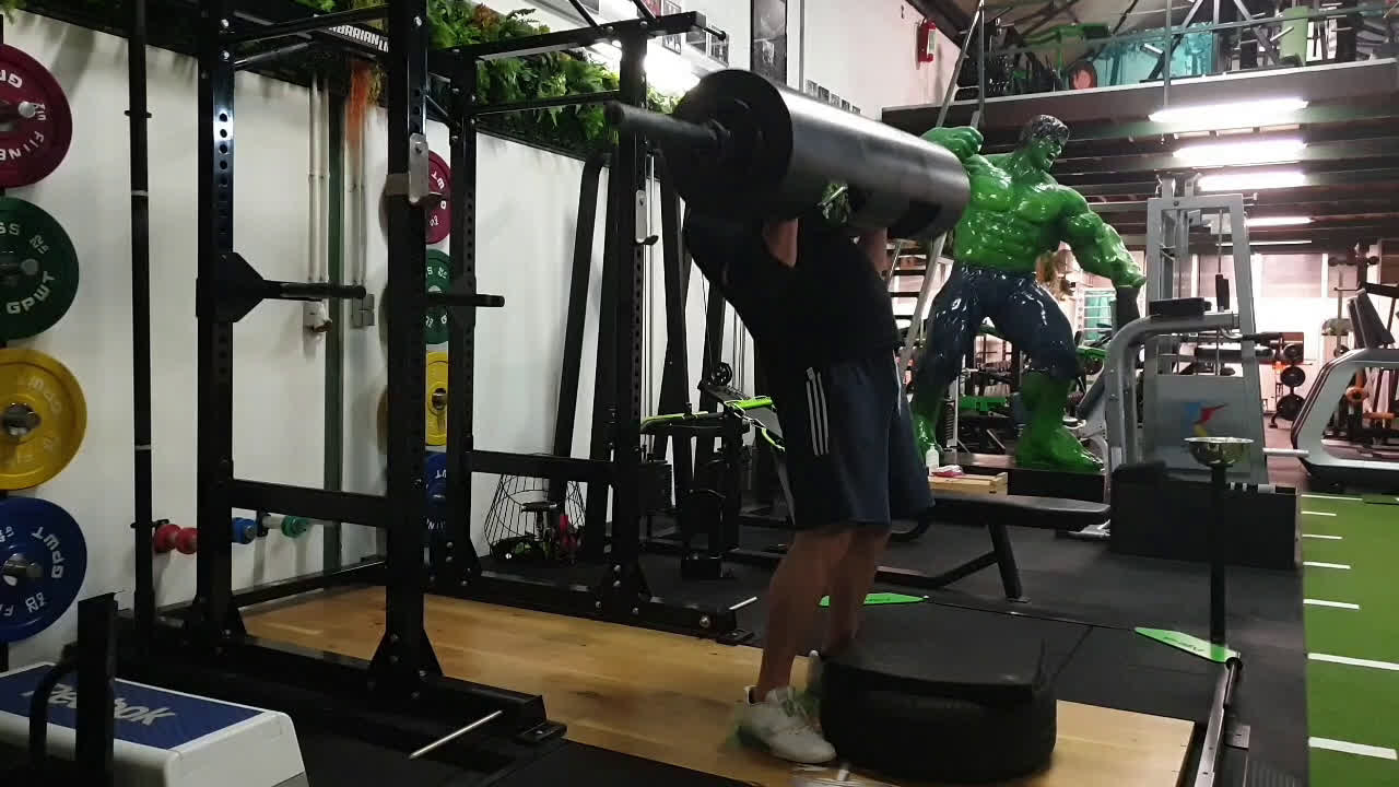 29-09 75kg log clean set 3