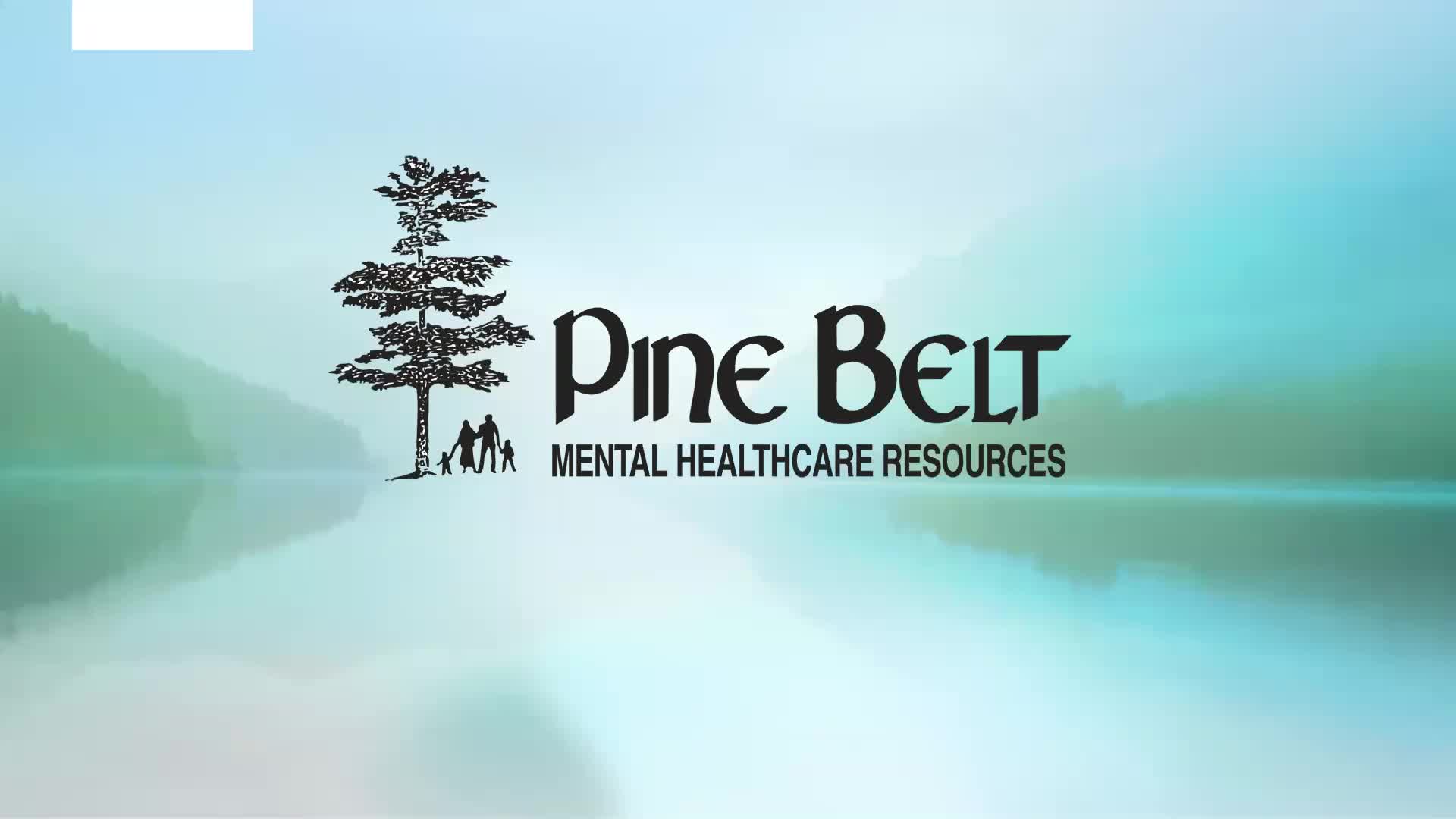 Region 12 Resources Available and Work in the Community Pine Belt