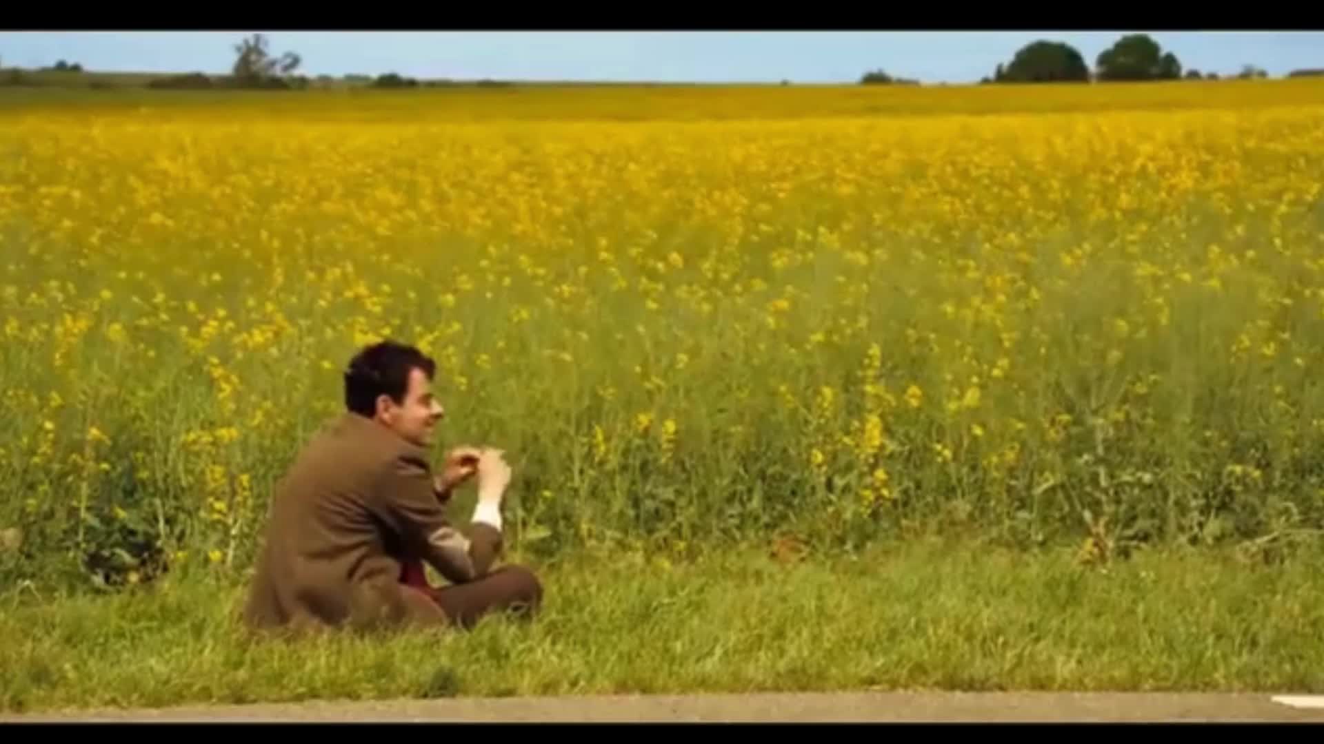 Watch Untitled design | Streamable