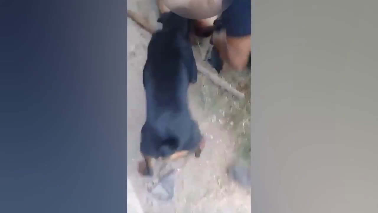 watch gang castrates alleged rapist by