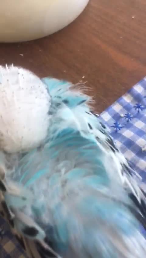 streamable.com