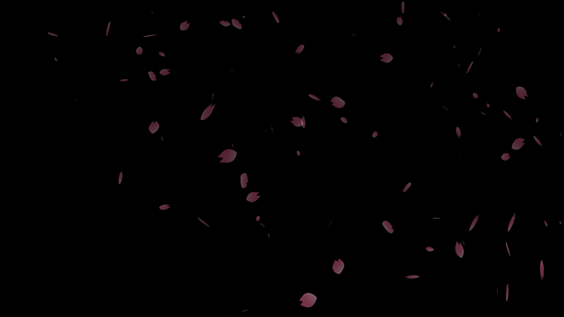 桜の花びらが舞い落ちる無料動画素材 映像制作向け D Elf 桜の花びらが舞い落ちる無料動画素材 映像制作向け D Elf