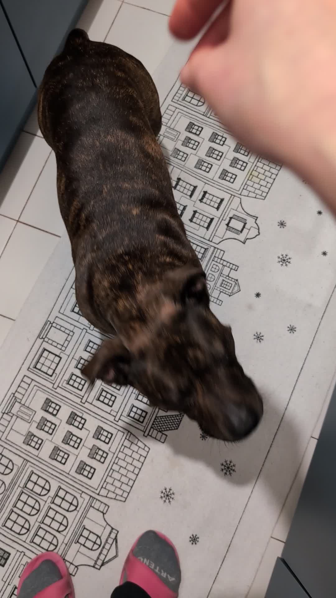 PXL_20250126_164808699