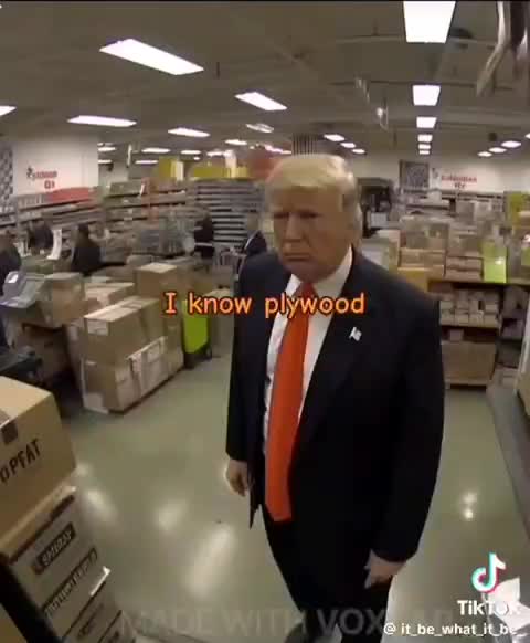 Home_Depot_Trump_Plywood_Trump