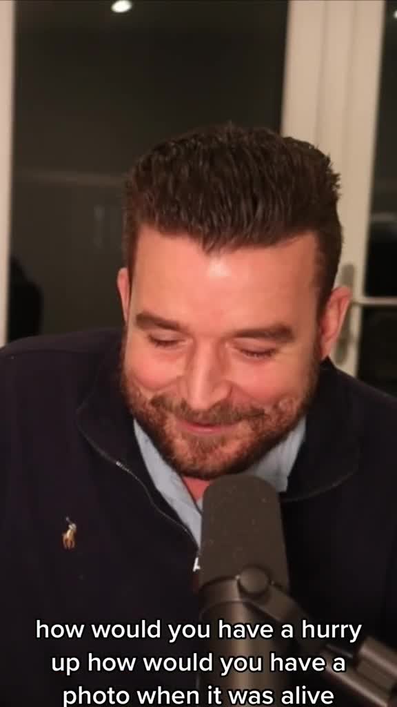 Watch "Like that but cat" on Streamable.