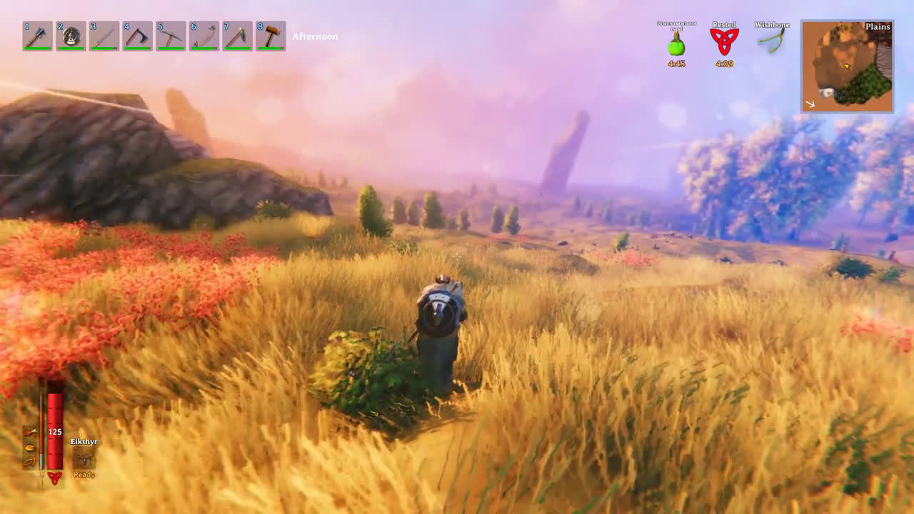 Valheim Plains