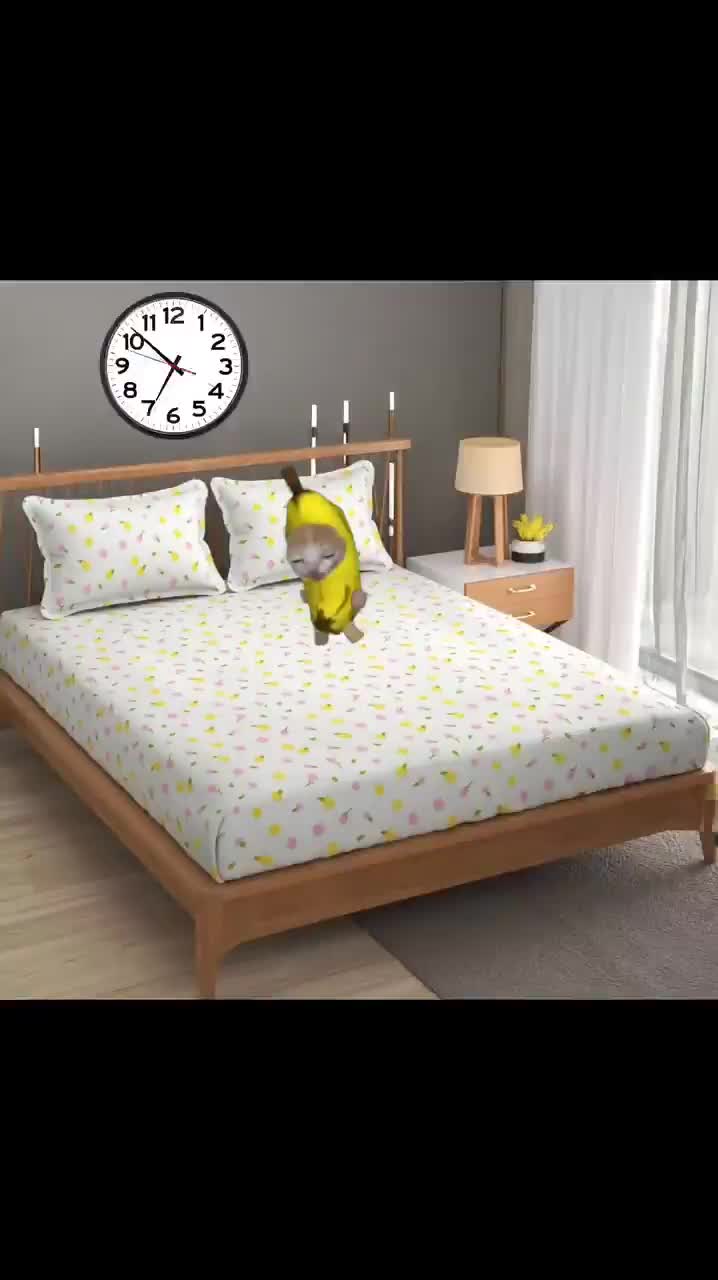 7abc2667c1899e81