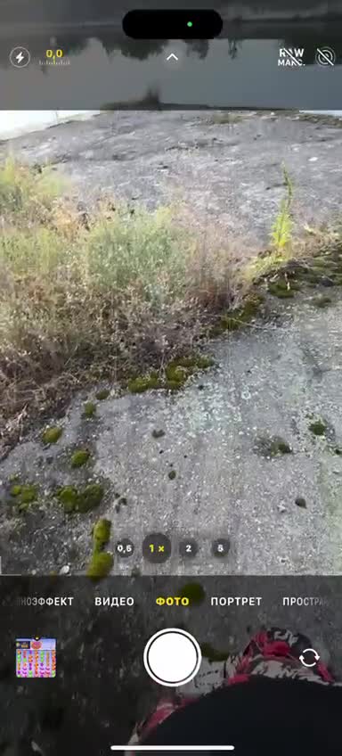 streamable.com