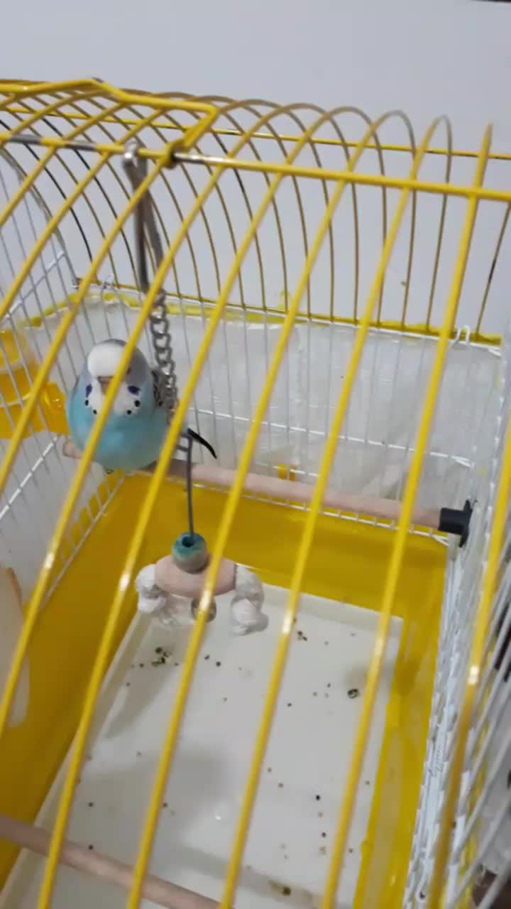 streamable.com