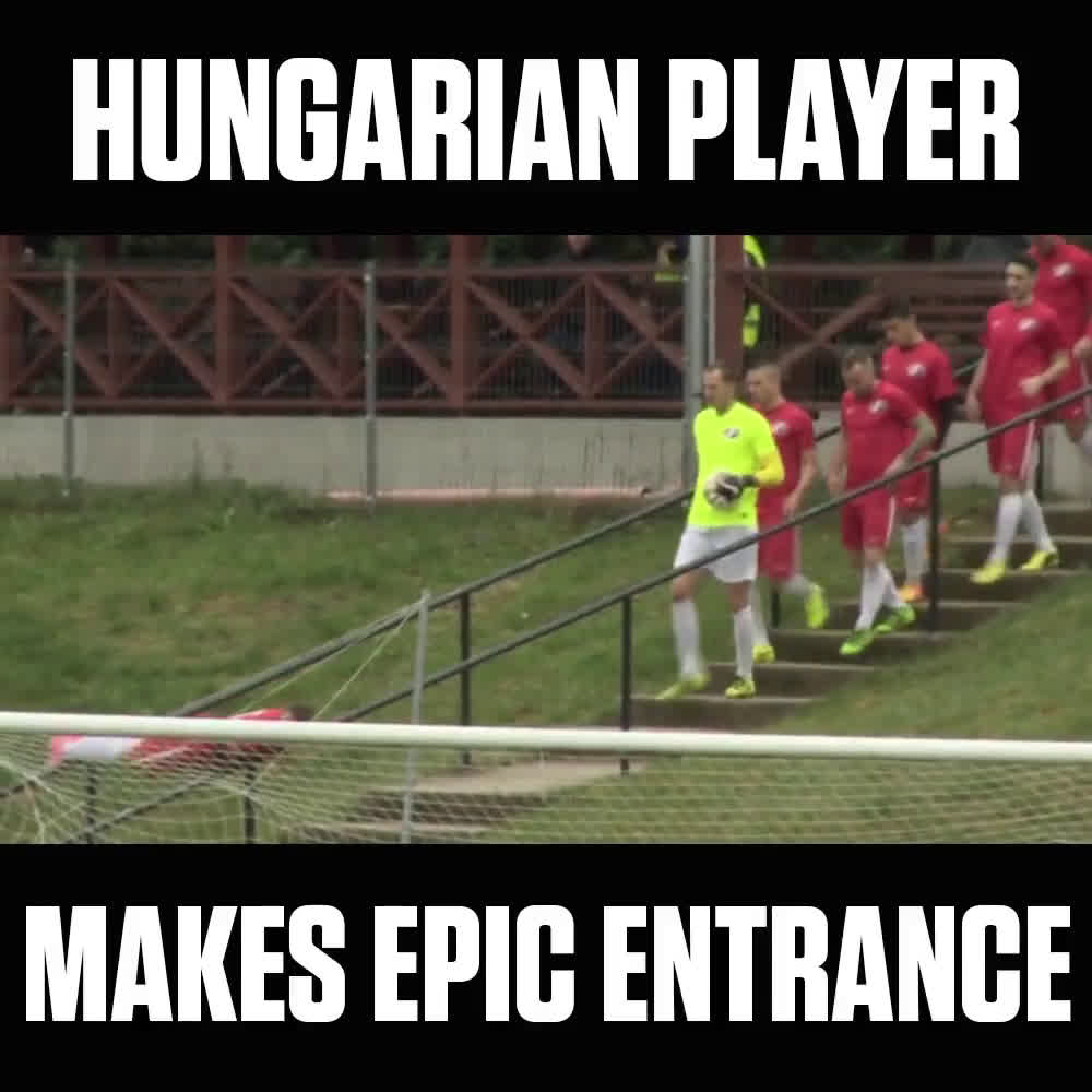 Video Hungarian Player Performs Most Brilliant Pitch Entrance We Ve Ever Seen Soccer News
