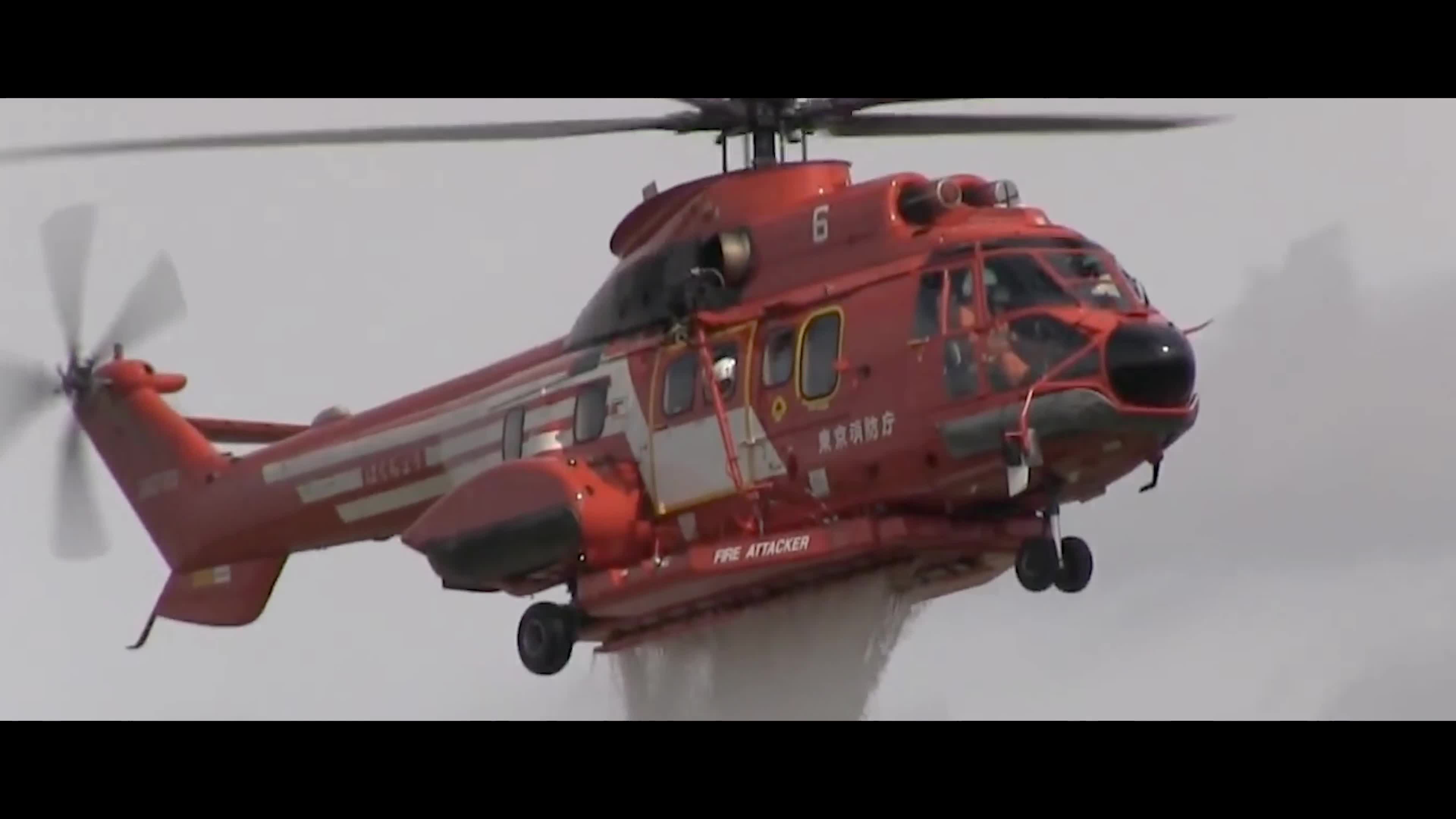 DART example website