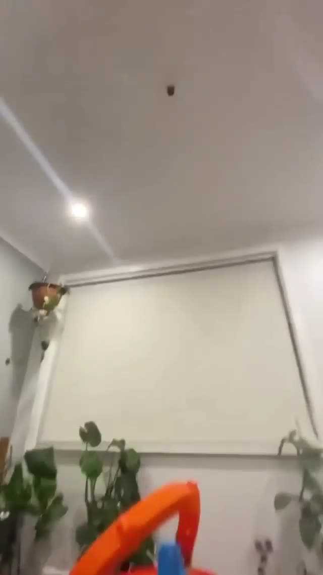 4546e1800a0b3e94e509b766a1d6c0b7