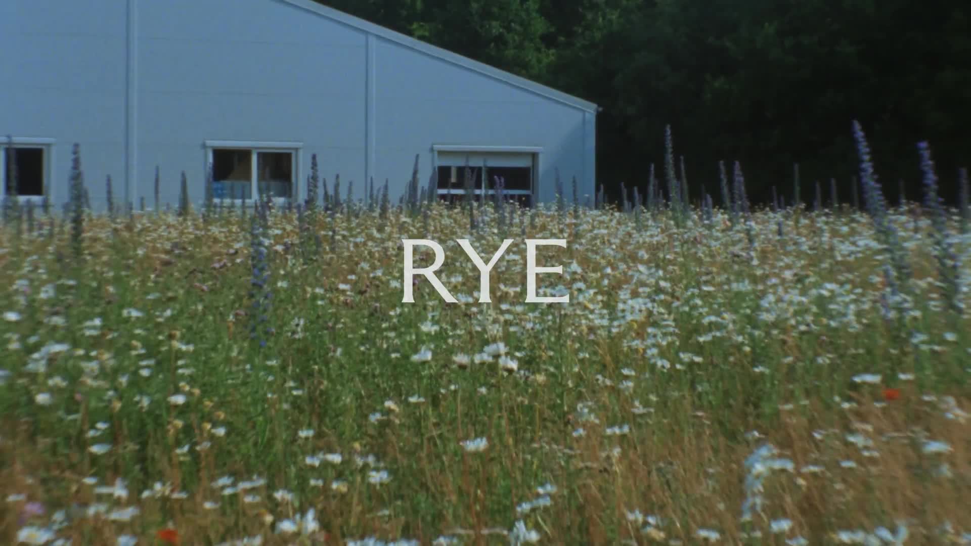 Watch RYE - Production - 16x9 | Streamable