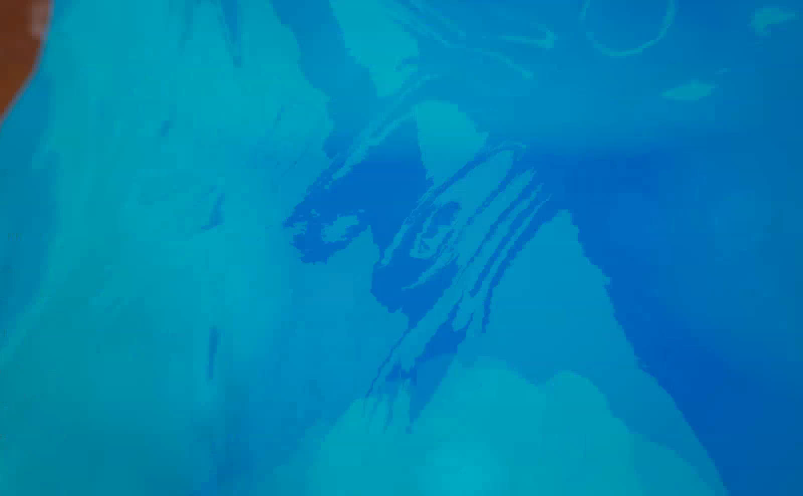 2019-10-24_03-05-55.mp4