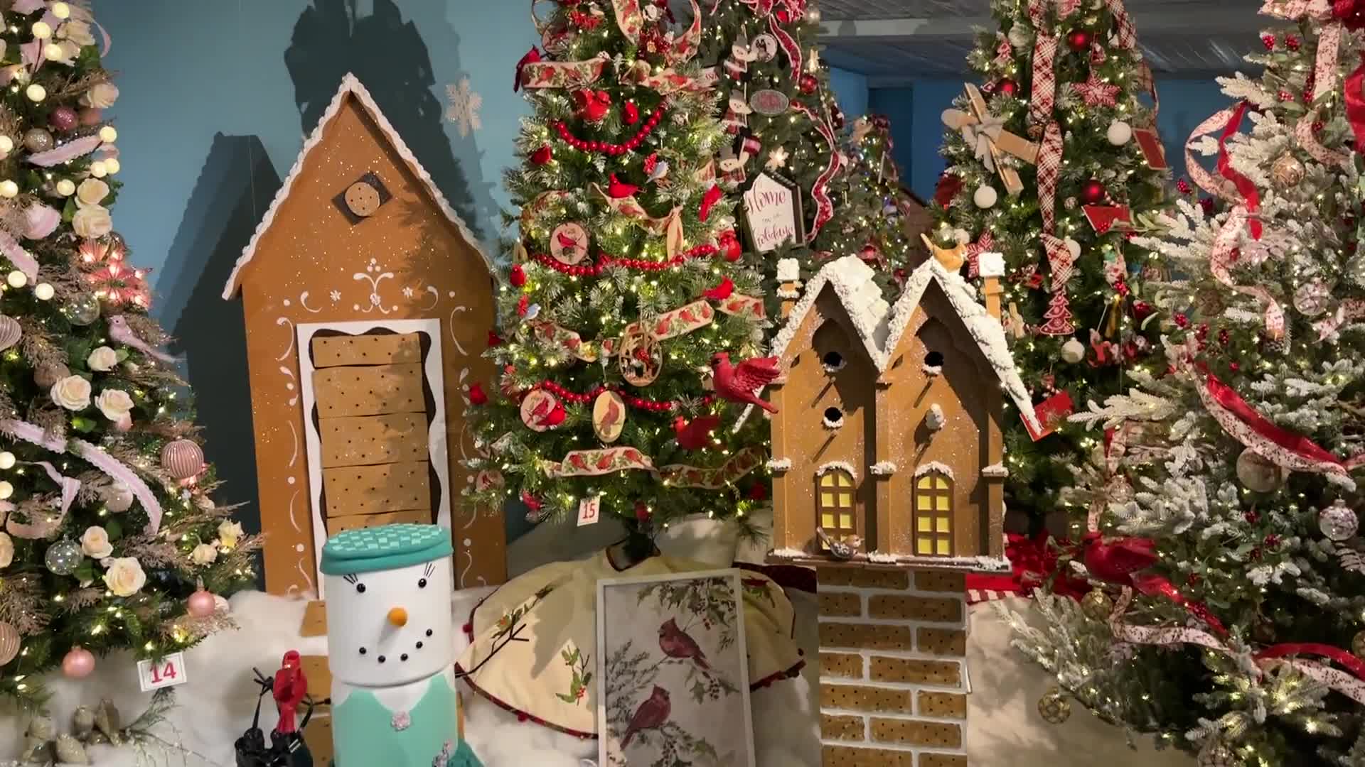 Watch HiDef The Christmas Lane At The Kraynak's In Hermitage!(9/12