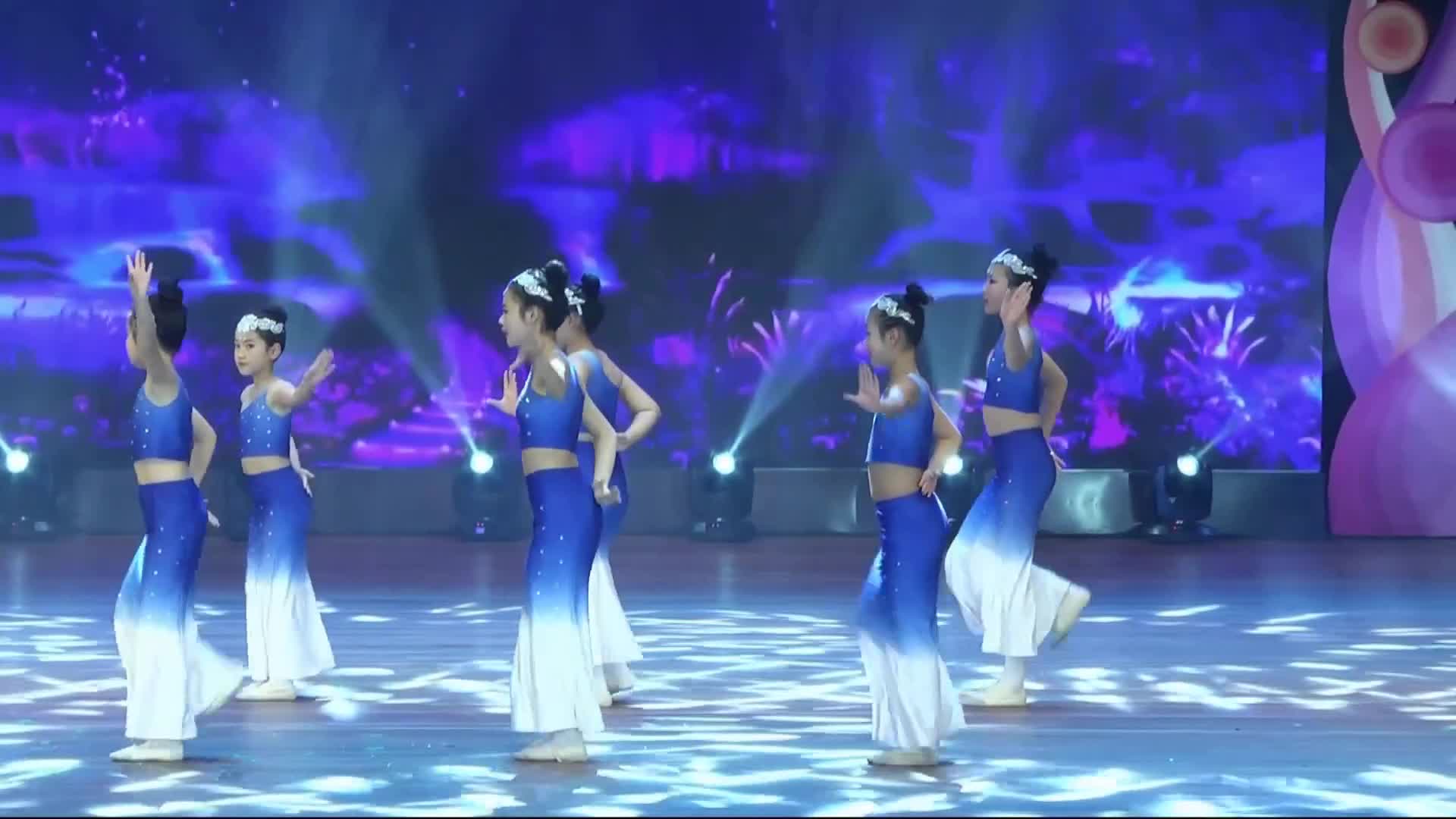 Video Preview