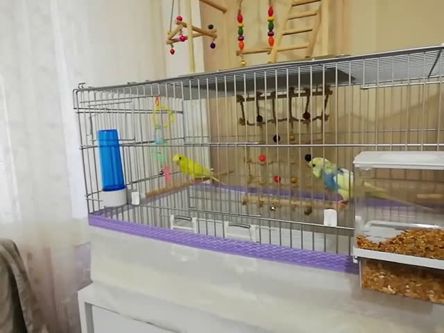 streamable.com