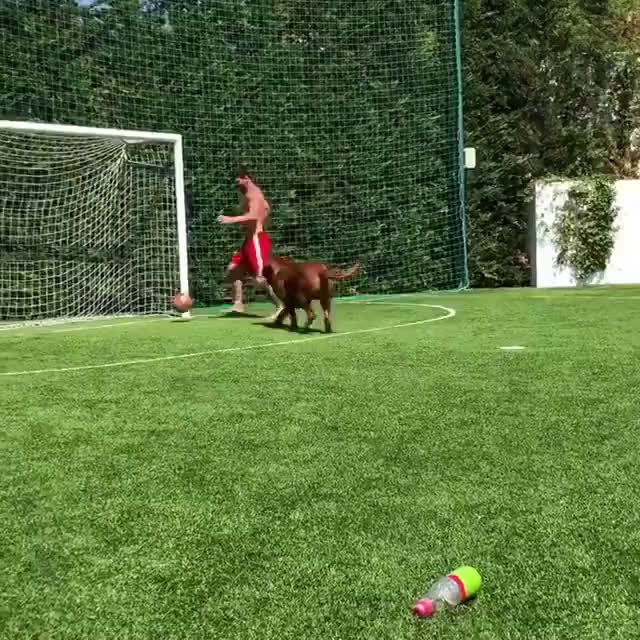 動画 メッシは犬にもボールを触れさせない ハンド疑惑も浮き玉でかわす映像が話題に トレーニングの秘密がわかった