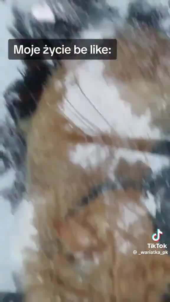 Watch "7CsFDeXM_n8lMyWc" on Streamable.