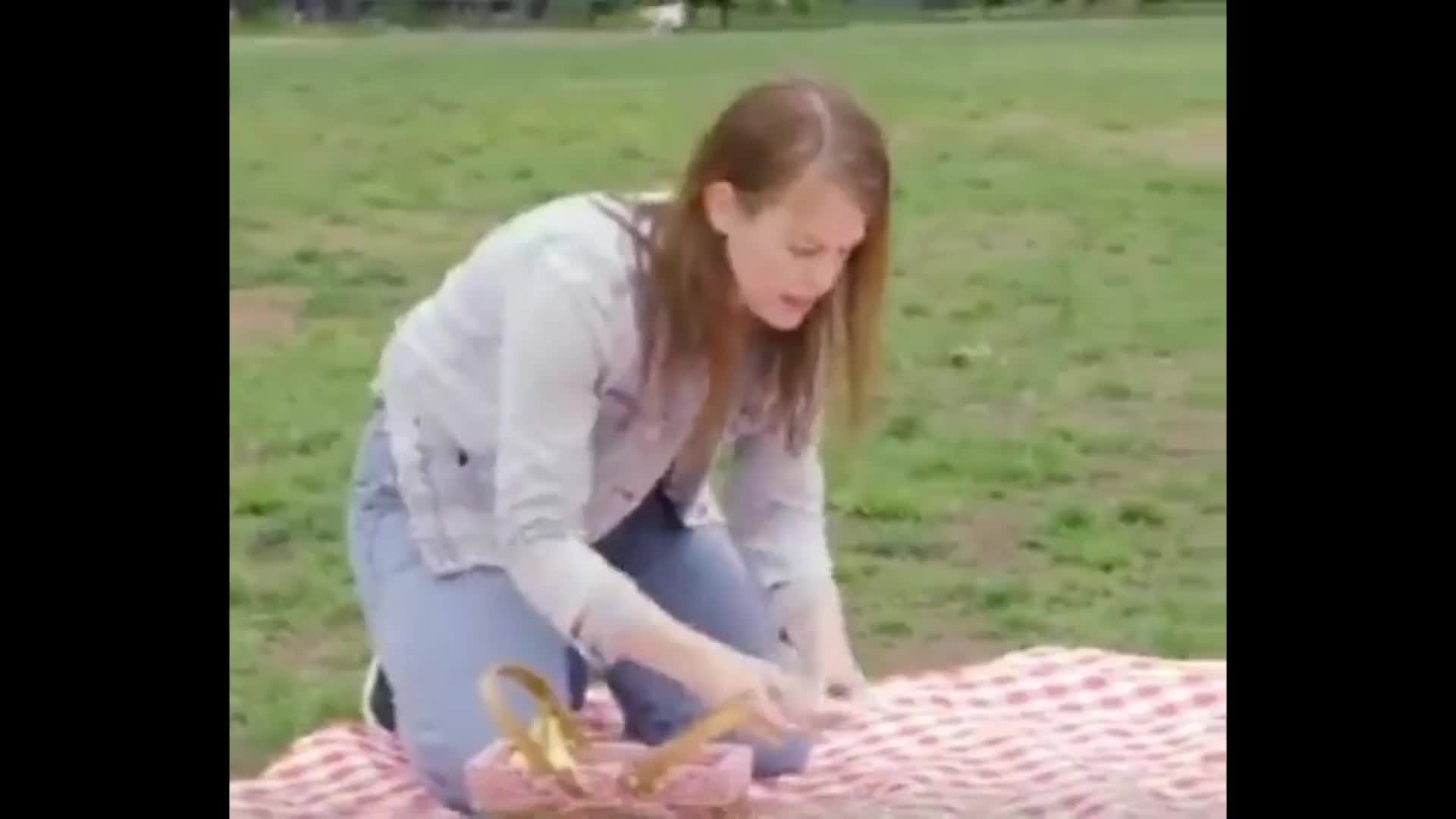 streamable.com