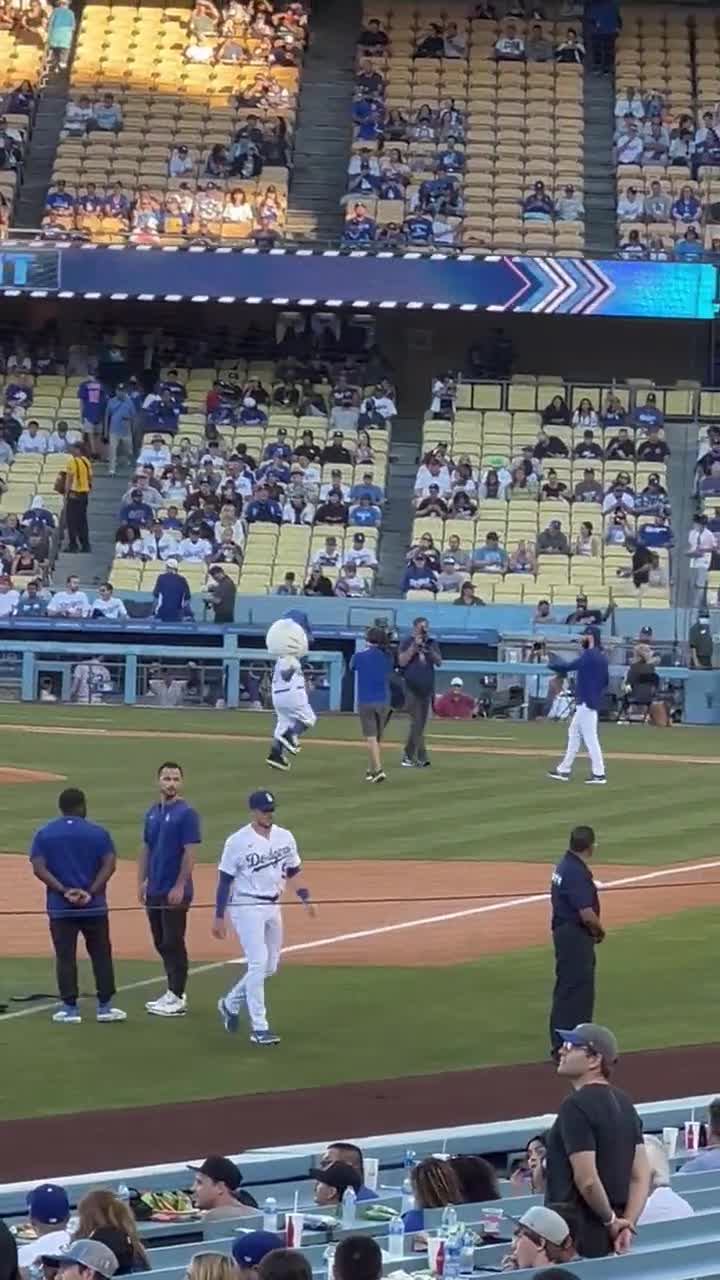 highlight] Tony Gonsolin catches the first pitch from Hello Kitty : r/ baseball