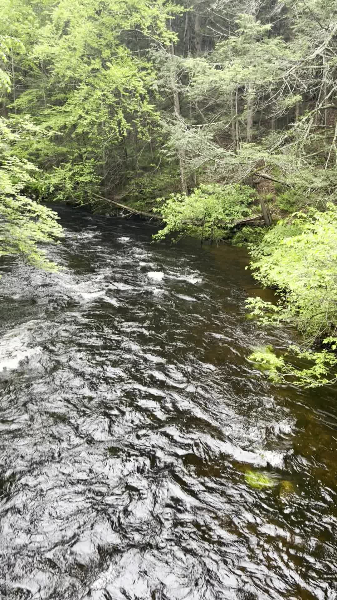 streamable.com